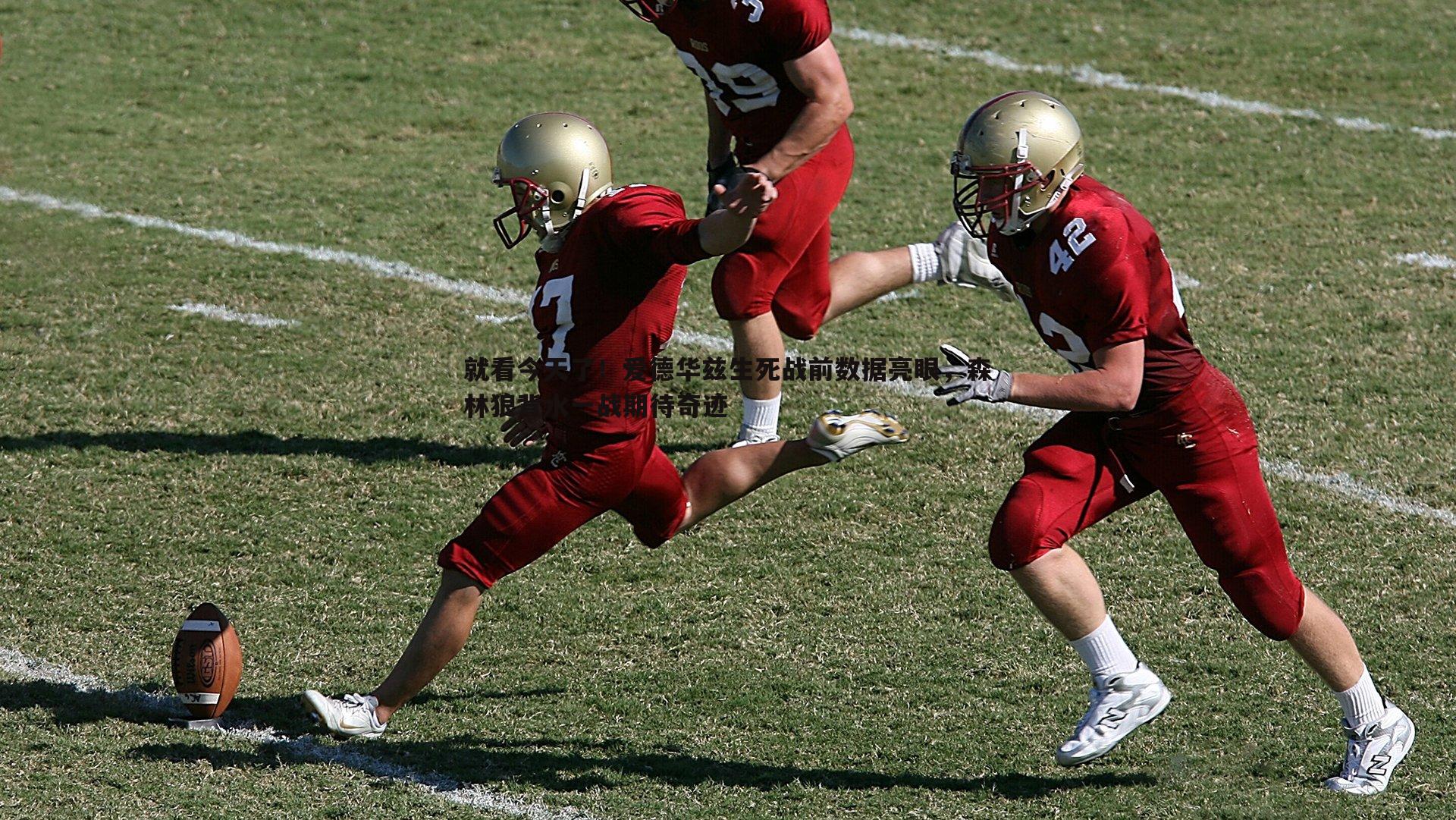 就看今天了!爱德华兹生死战前数据亮眼,森林狼背水一战期待奇迹